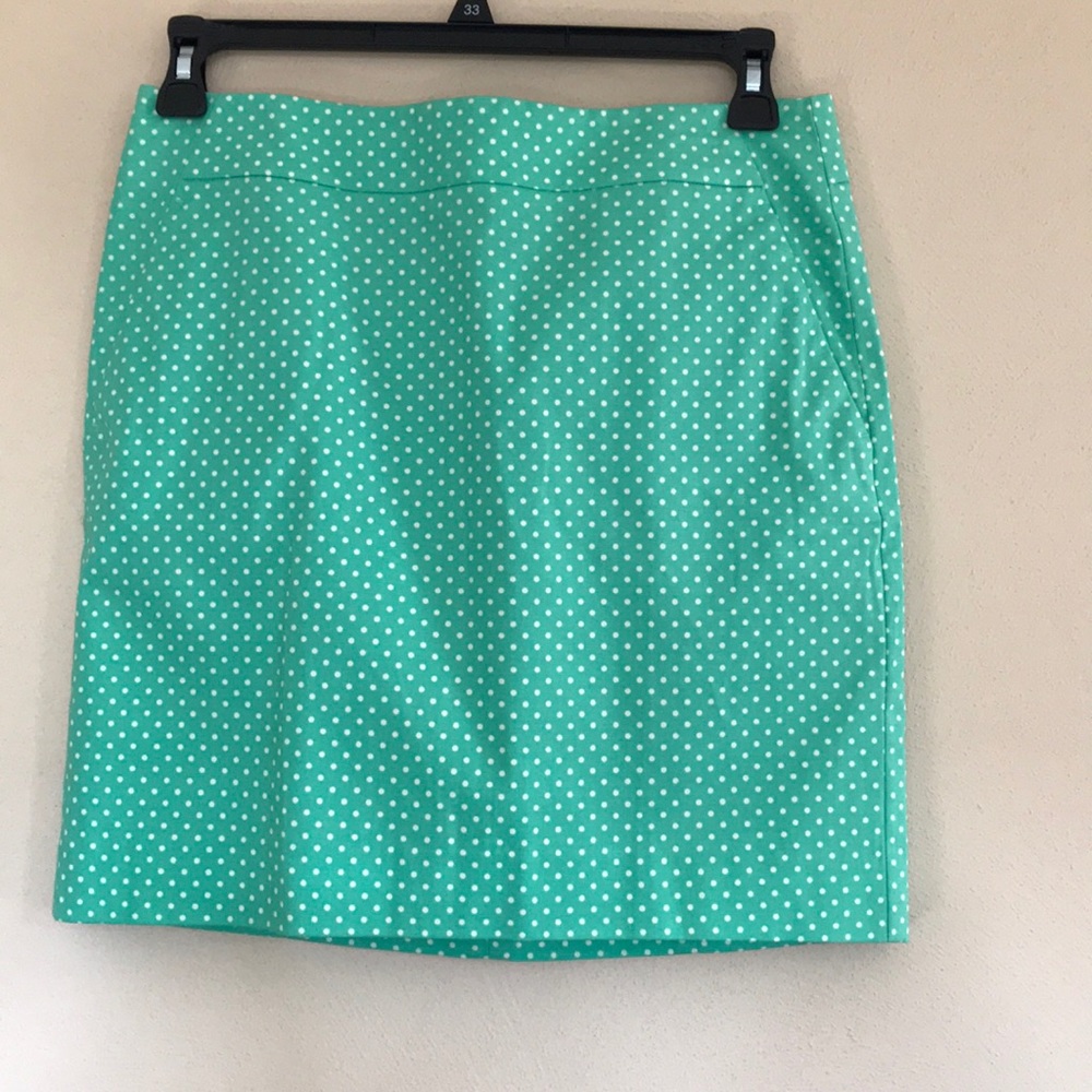 Ann Taylor madison cotton skirt